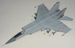 Mikoyan Gurevich MiG-25 (Victor Belenko) - Textures only